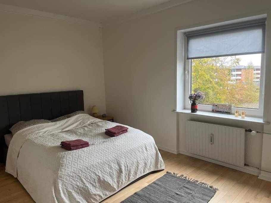 Stor Og Lys Lejlighed I Hjertet Af Holstebro Exterior foto